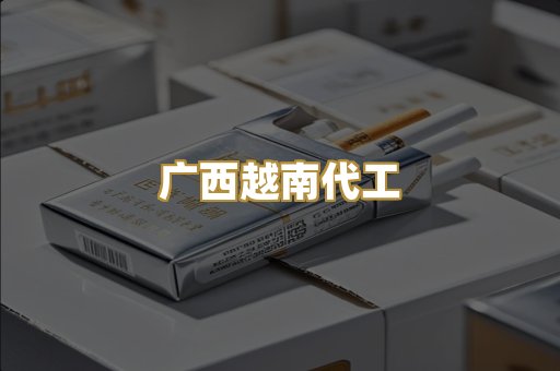 广西越南代工
